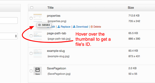 Hover over the thumbnail preview in Files to get a file's ID