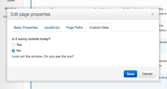 Page Properties Modal with fancier Custom Data featuring a radio input with Yes and No options.
